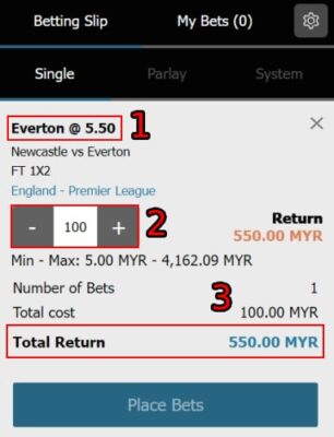 how-to-play-online-sports-betting-10