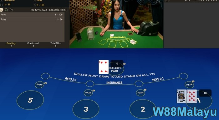 how is the martingale blackjack strategy used